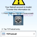 Review-TOT-Netcall (3)