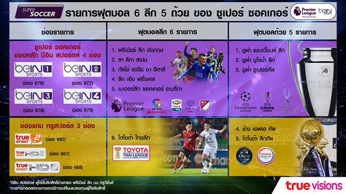 TVS-6-League-5-Cup