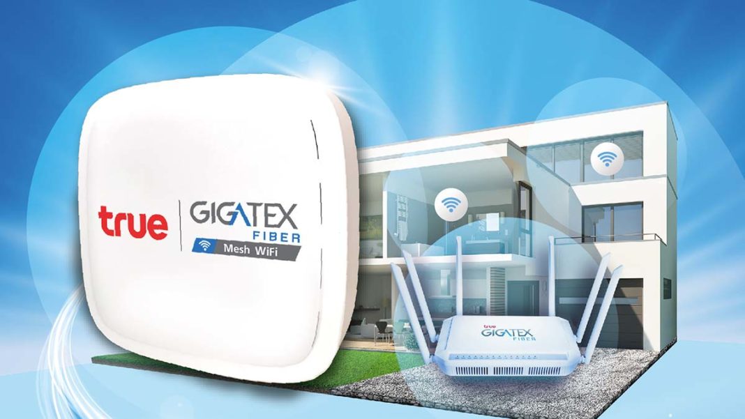 Gigatex Fiber + Mesh WiFi_Flyer-1