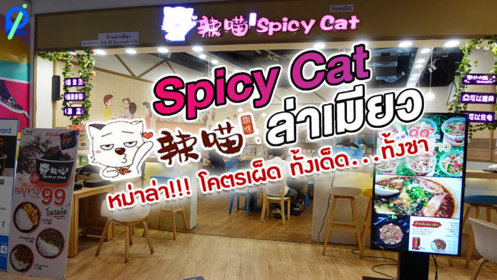 Spicy_Cat-01
